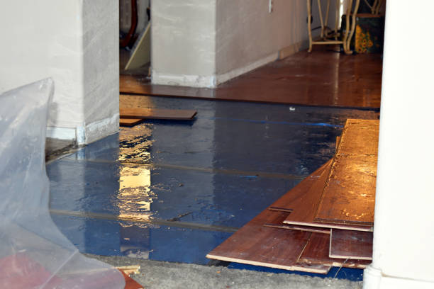 Professional Flood Damage Restoration technician working in Bear River City, UT